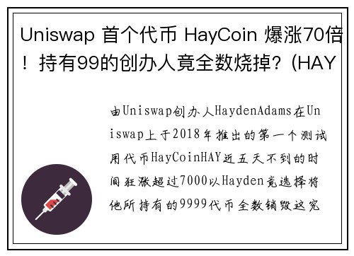 Uniswap 首个代币 HayCoin 爆涨70倍！持有99的创办人竟全数烧掉？(HAY)